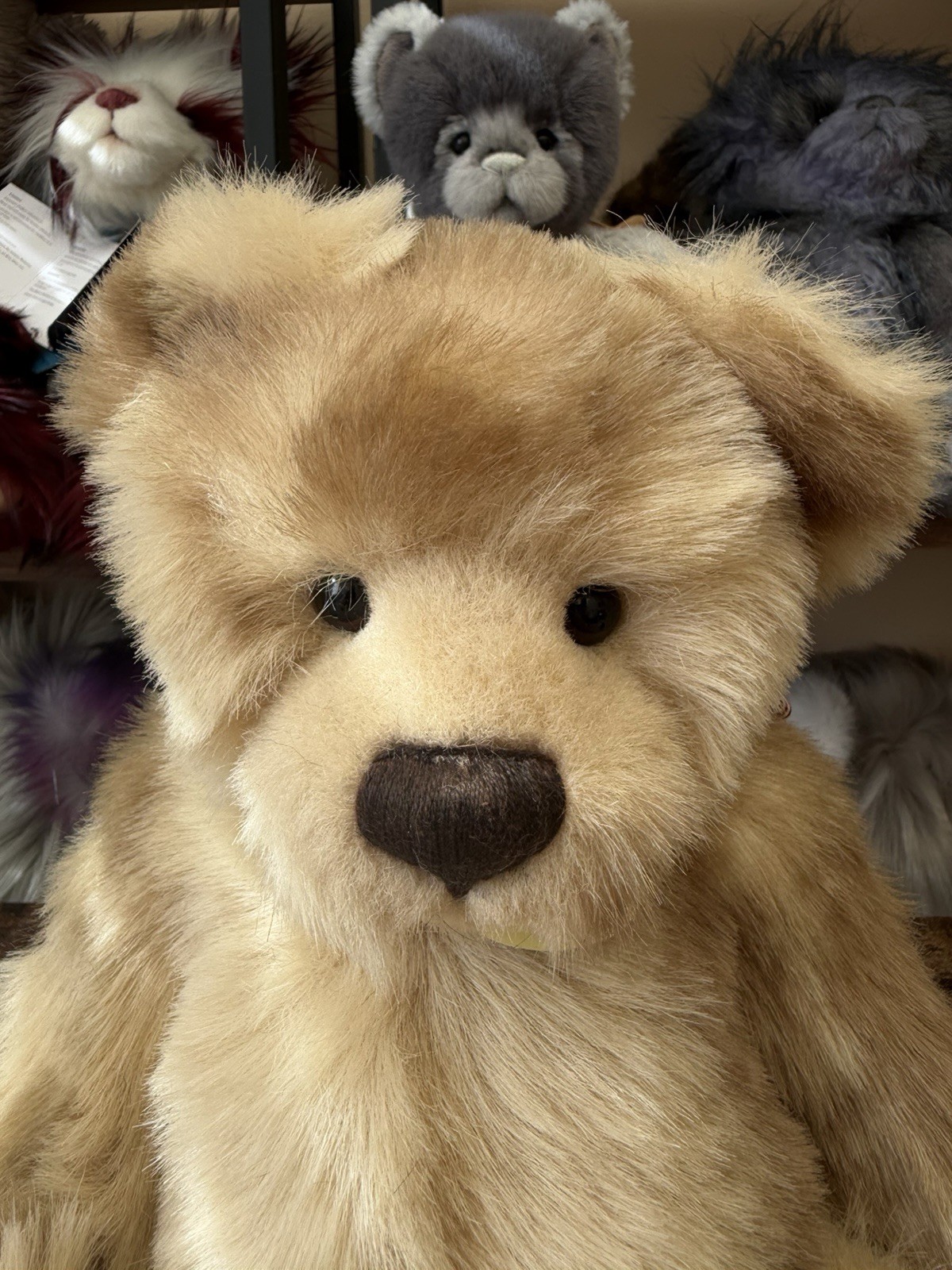 Charlie Bears Paige Retired Bear With Tags Isabelle Lee Collection - Image 2