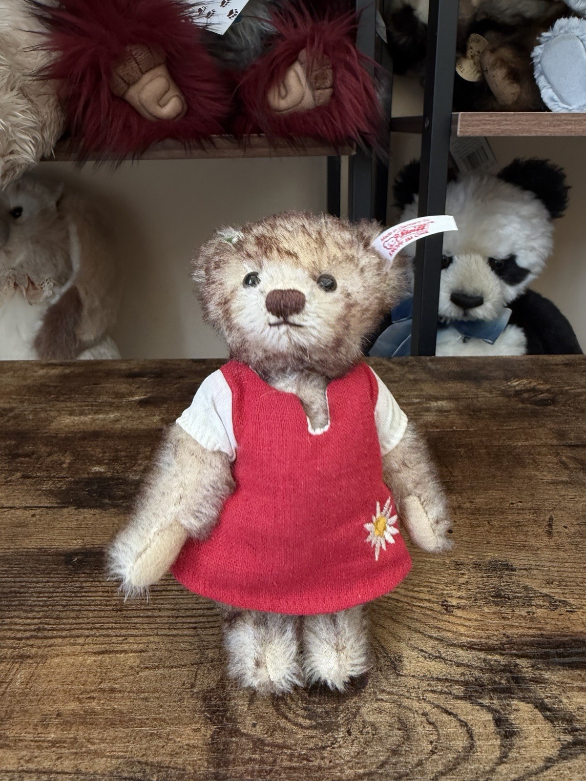 Steiff Teddy Bear Heidi Mohair Braun Gespitzt 6” Made In Germany 673771 2014 OVP - Image 2