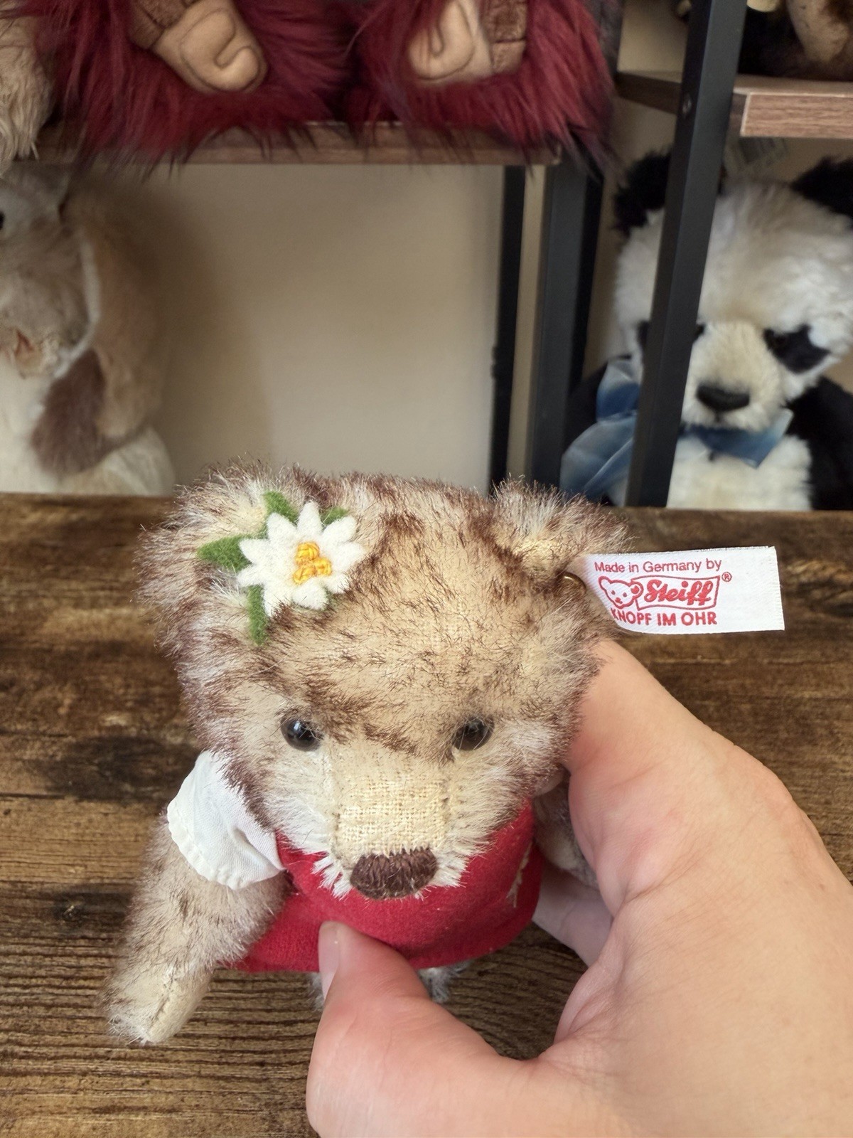 Steiff Teddy Bear Heidi Mohair Braun Gespitzt 6” Made In Germany 673771 2014 OVP - Image 3