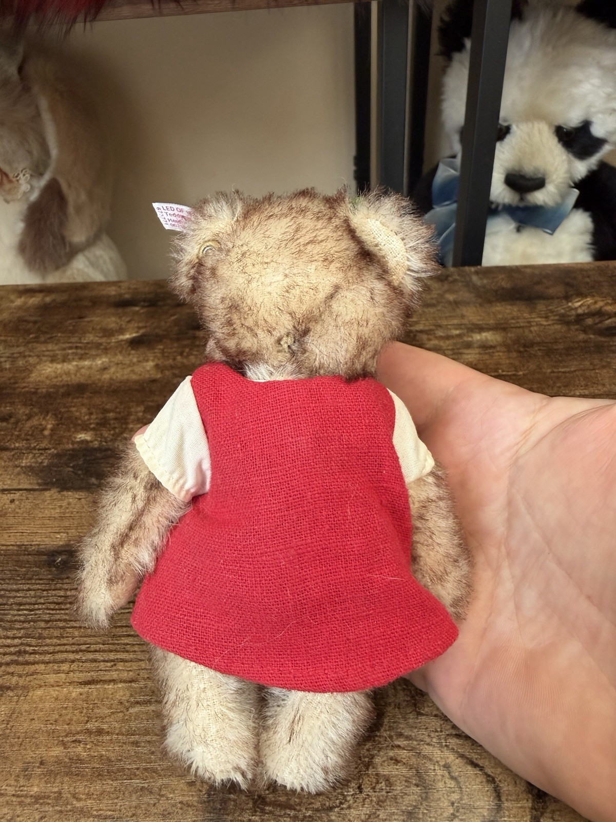 Steiff Teddy Bear Heidi Mohair Braun Gespitzt 6” Made In Germany 673771 2014 OVP - Image 5