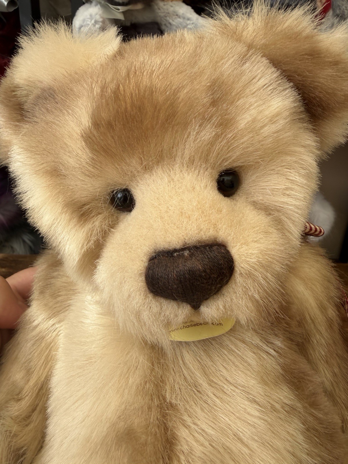 Charlie Bears Paige Retired Bear With Tags Isabelle Lee Collection - Image 7