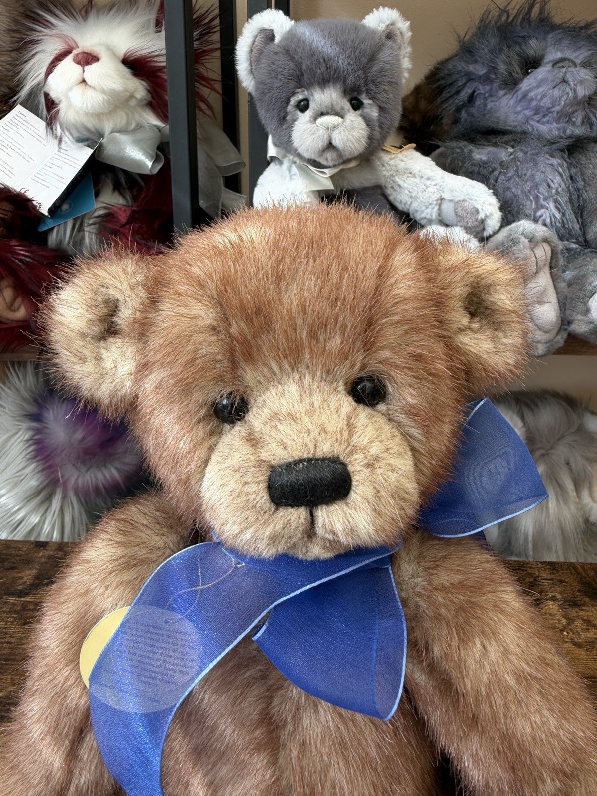 Charlie Bear 2009 Johnny Rare And Excellent Condition - Image 2