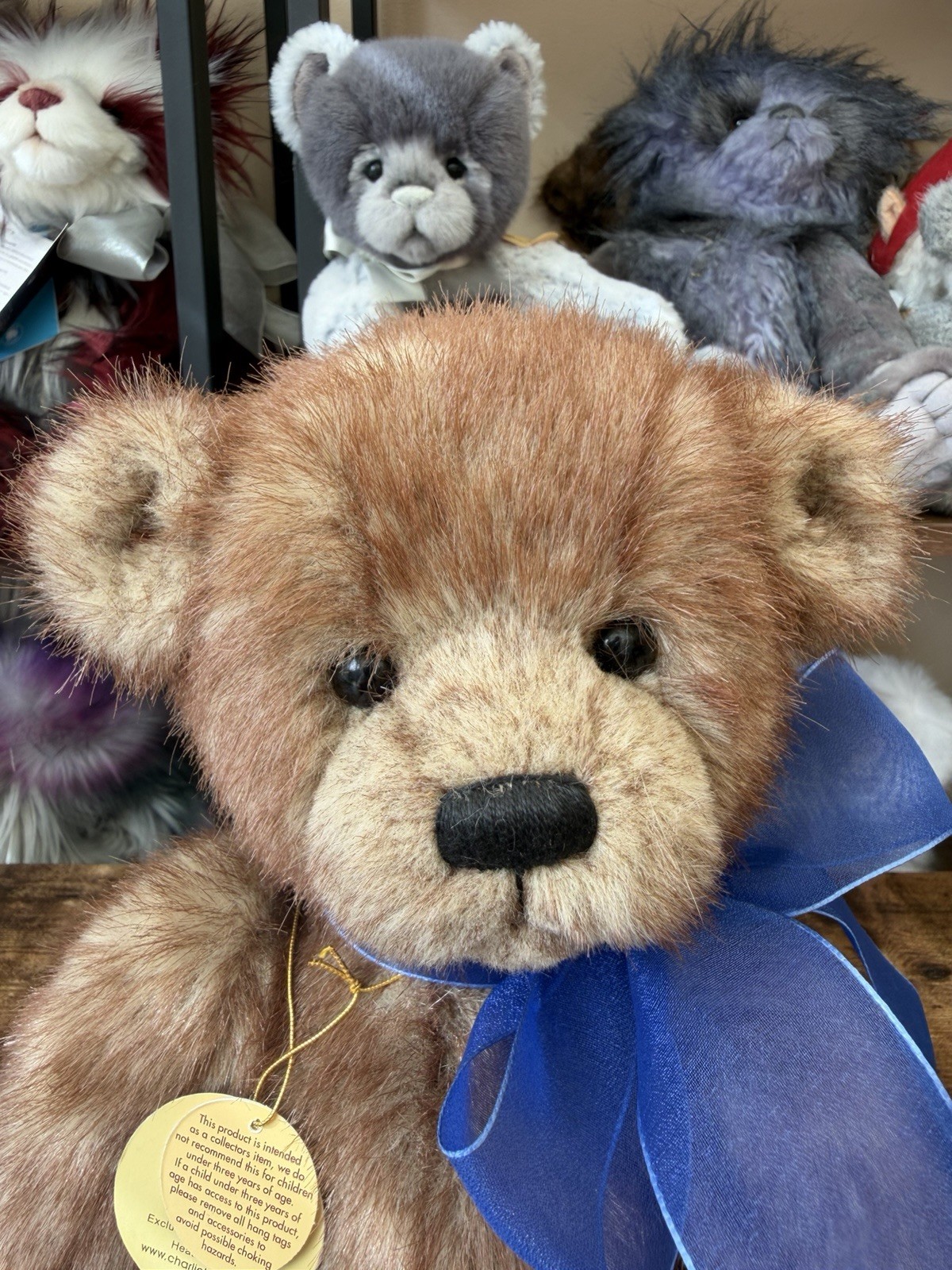 Charlie Bear 2009 Johnny Rare And Excellent Condition - Image 7