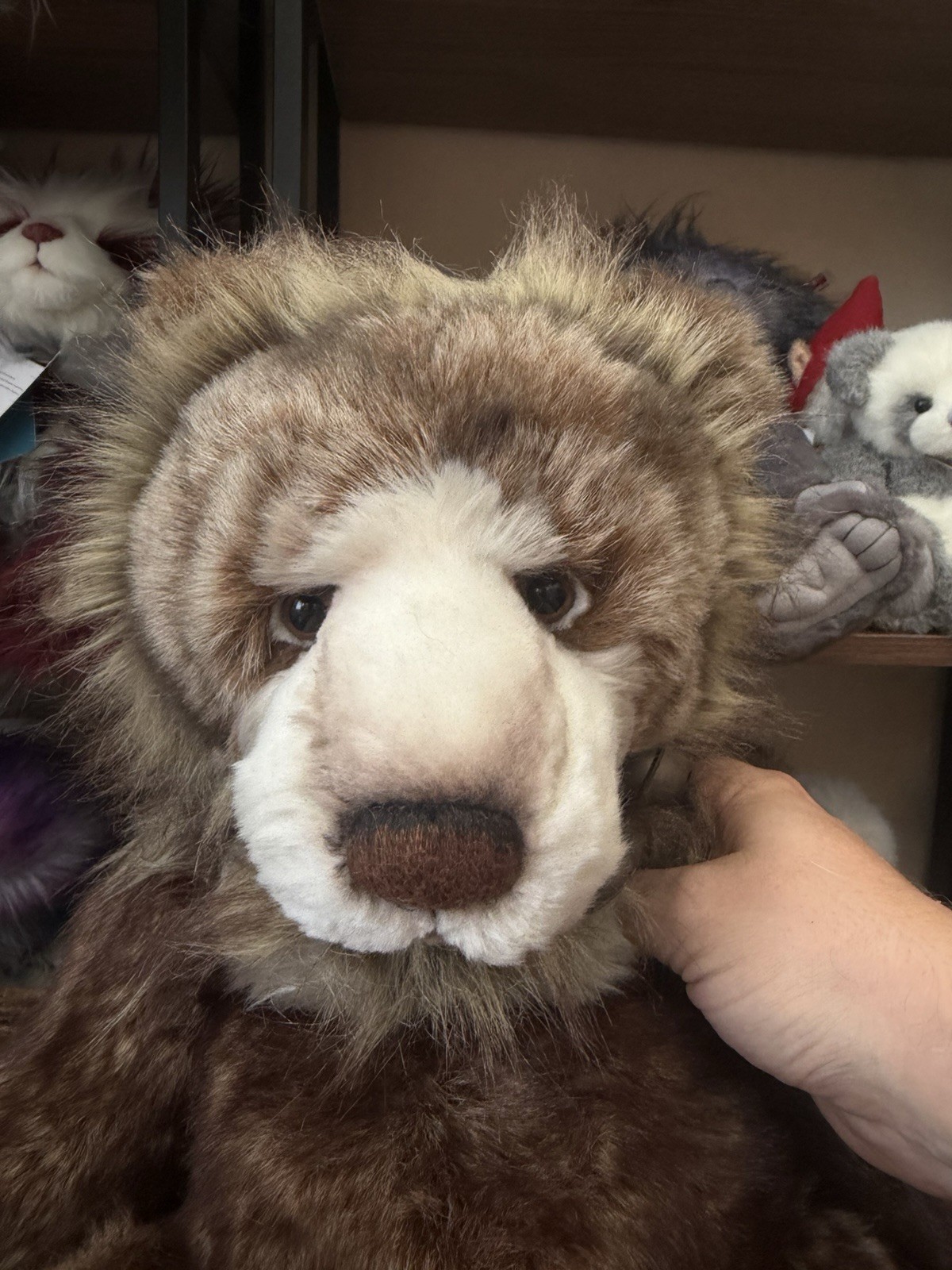 Charlie Bears OAKLEY No Tags - Image 8