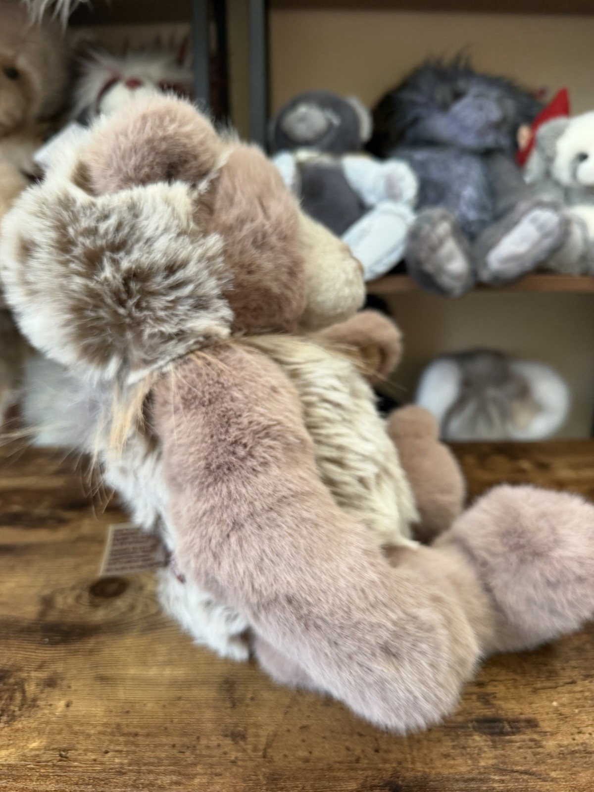 Charlie Bear - MOLLY CODDLE No Tags - Image 4