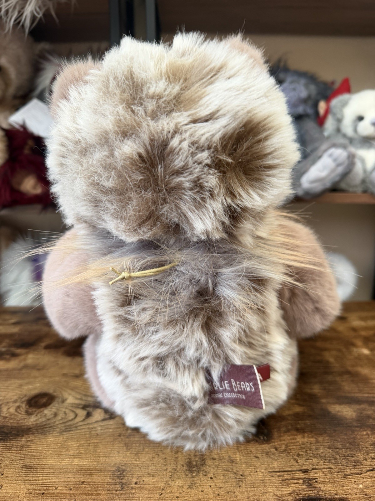 Charlie Bear - MOLLY CODDLE No Tags - Image 5