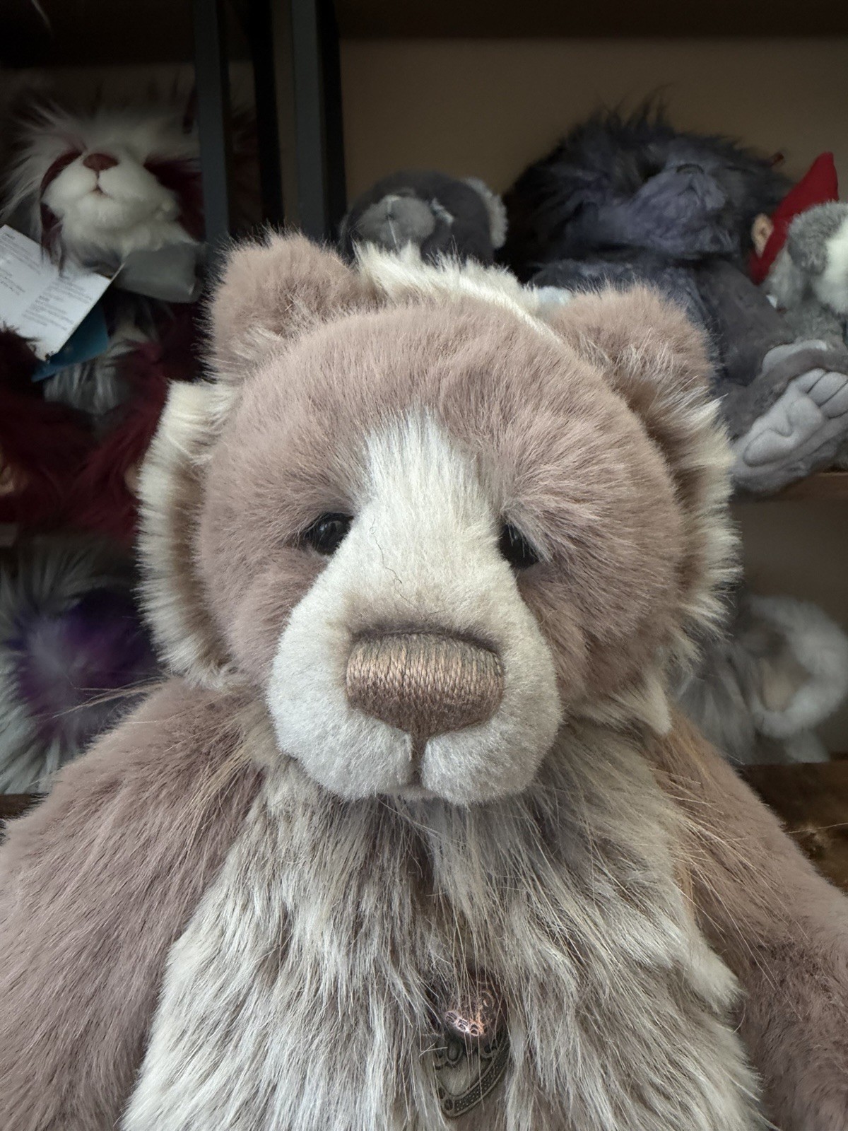 Charlie Bear - MOLLY CODDLE No Tags - Image 7
