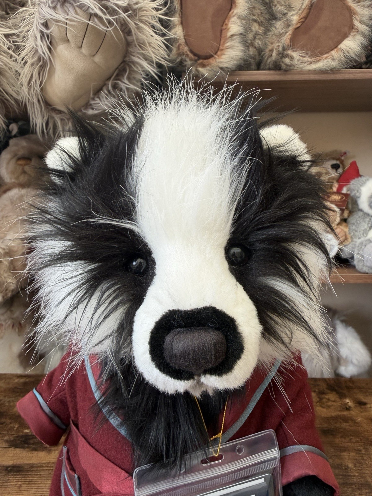 Charlie Bears BEDWARD Badger Limited Edition Signature Retired with Tags 16” - Image 8