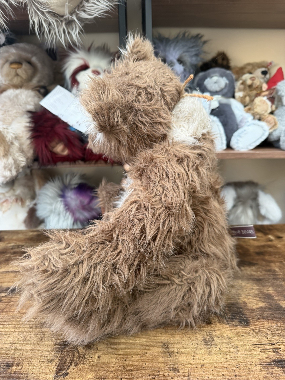 Charlie Bears Zak. Rare & Retired 2010 Tags Ship Worldwide - Image 6