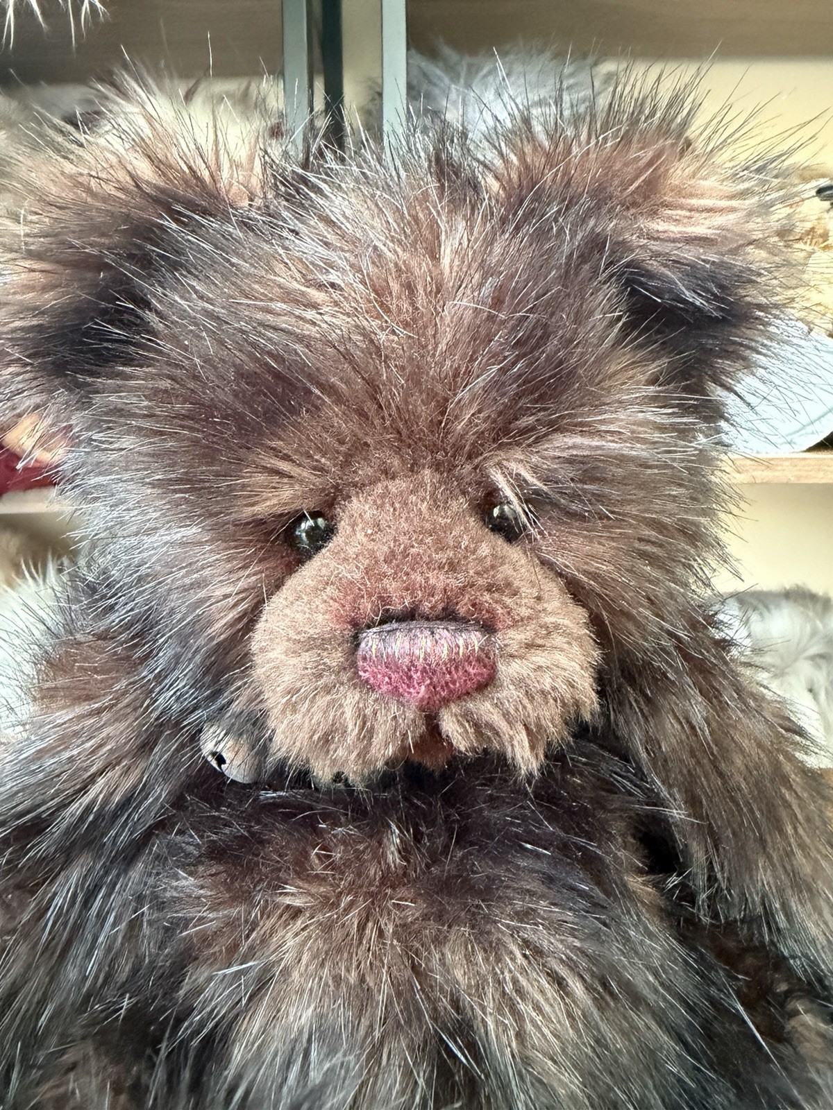 Charlie Bears Anniversary Edward Teddy Bear 16” Brown Plush LE 6000 CB114885 - Image 7