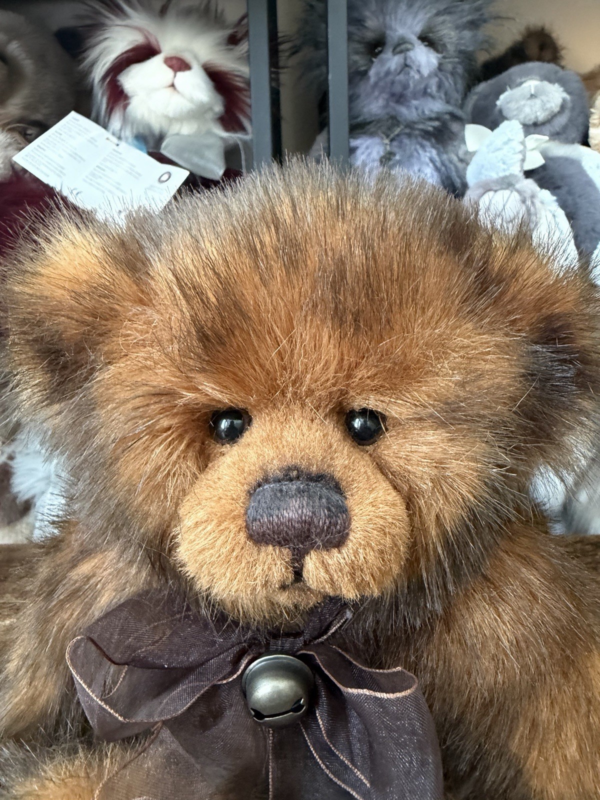 Charlie Bears William 10th Anniversary Edition - Image 2