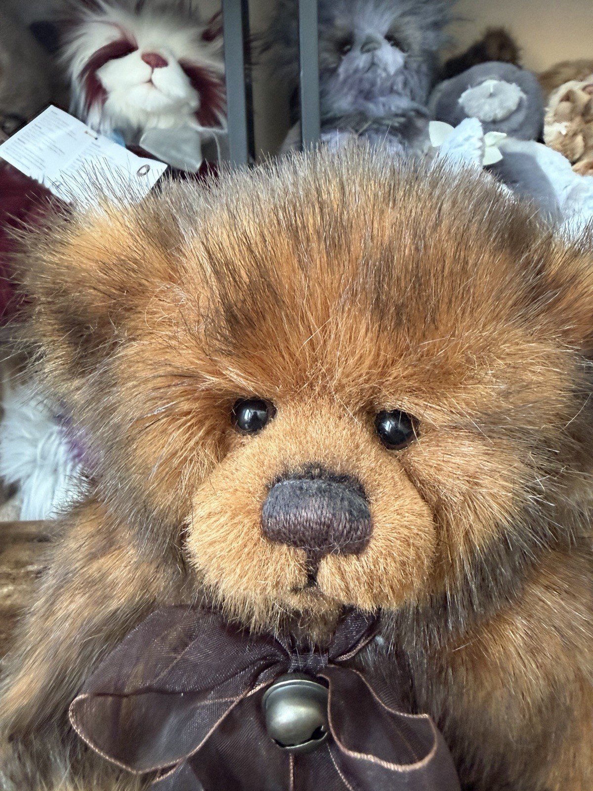 Charlie Bears William 10th Anniversary Edition - Image 7