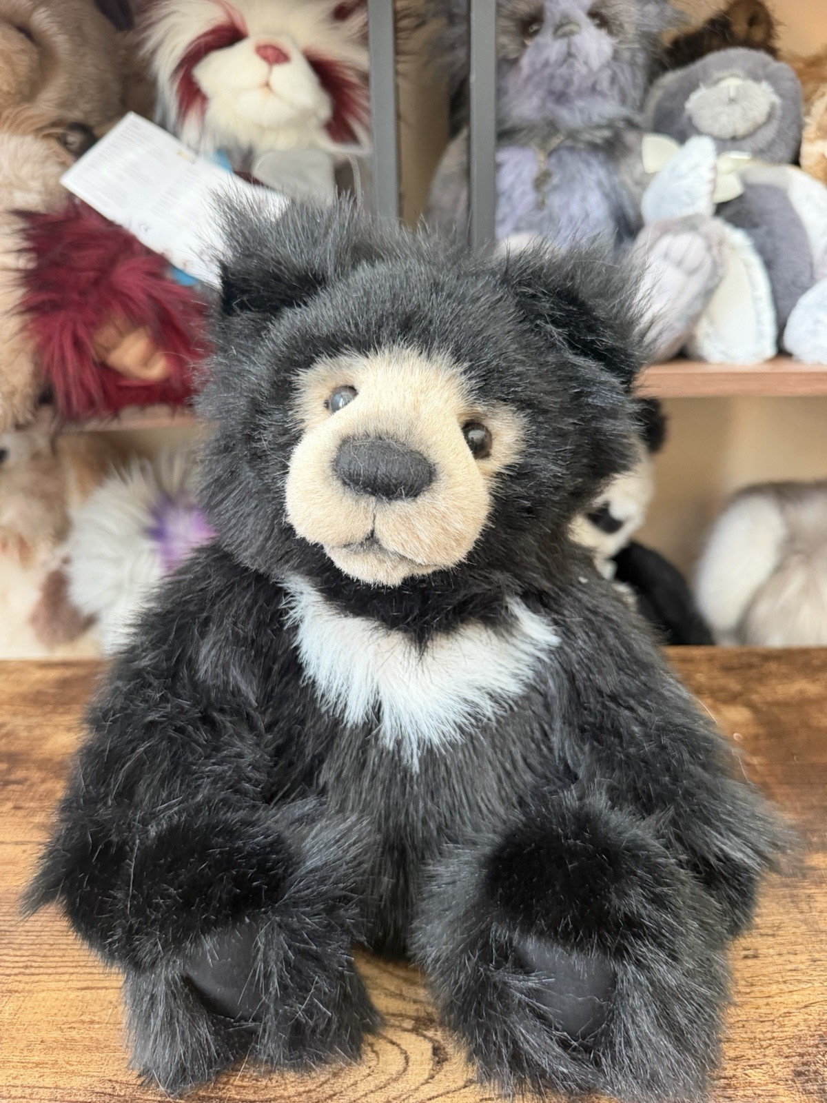 Charlie Bear, Anniversary Slothy Joe - Excellent Condition