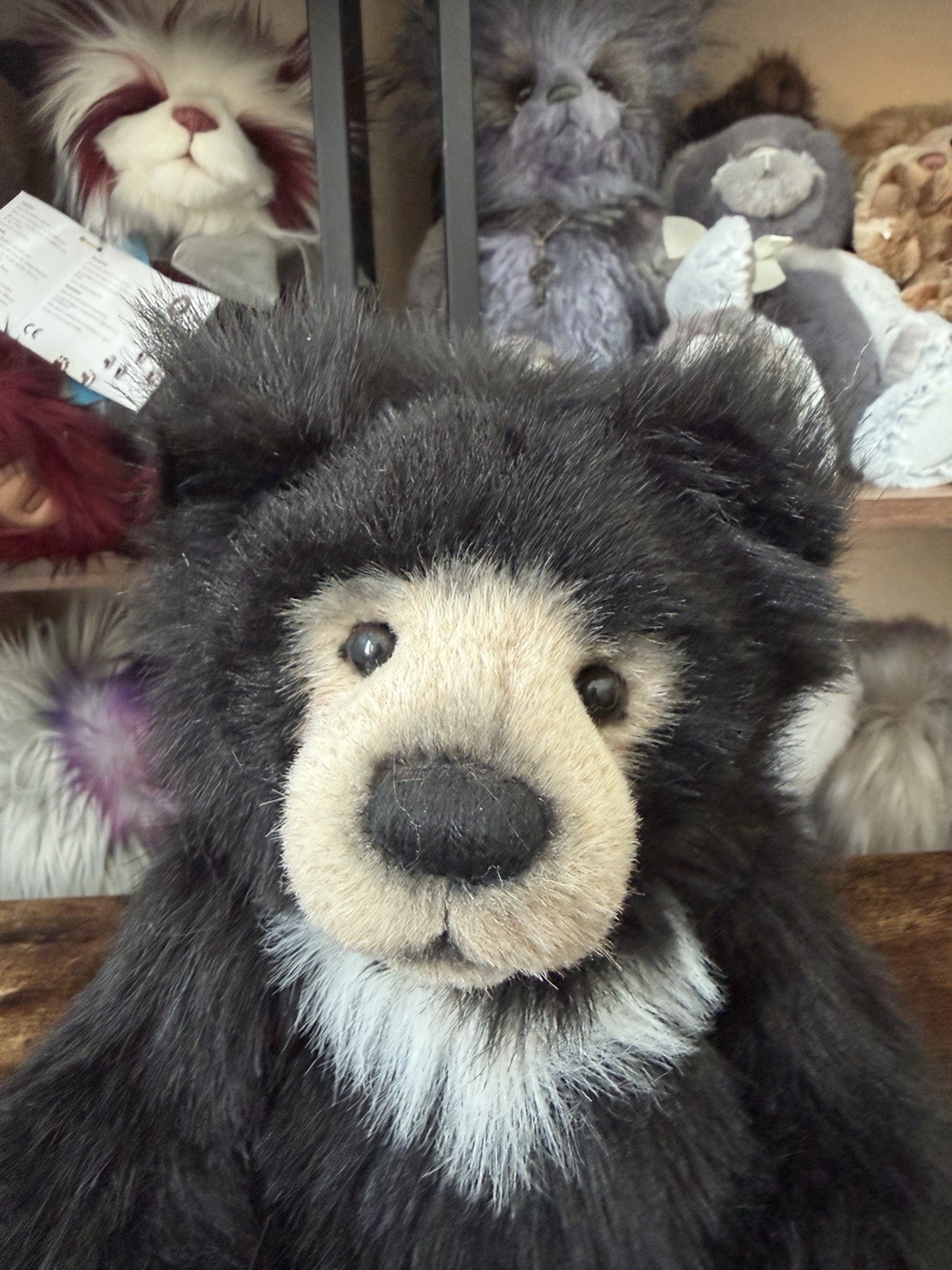 Charlie Bear, Anniversary Slothy Joe - Excellent Condition - Image 4